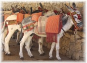 Mijas - Burro Taxi (Esel-Taxi)